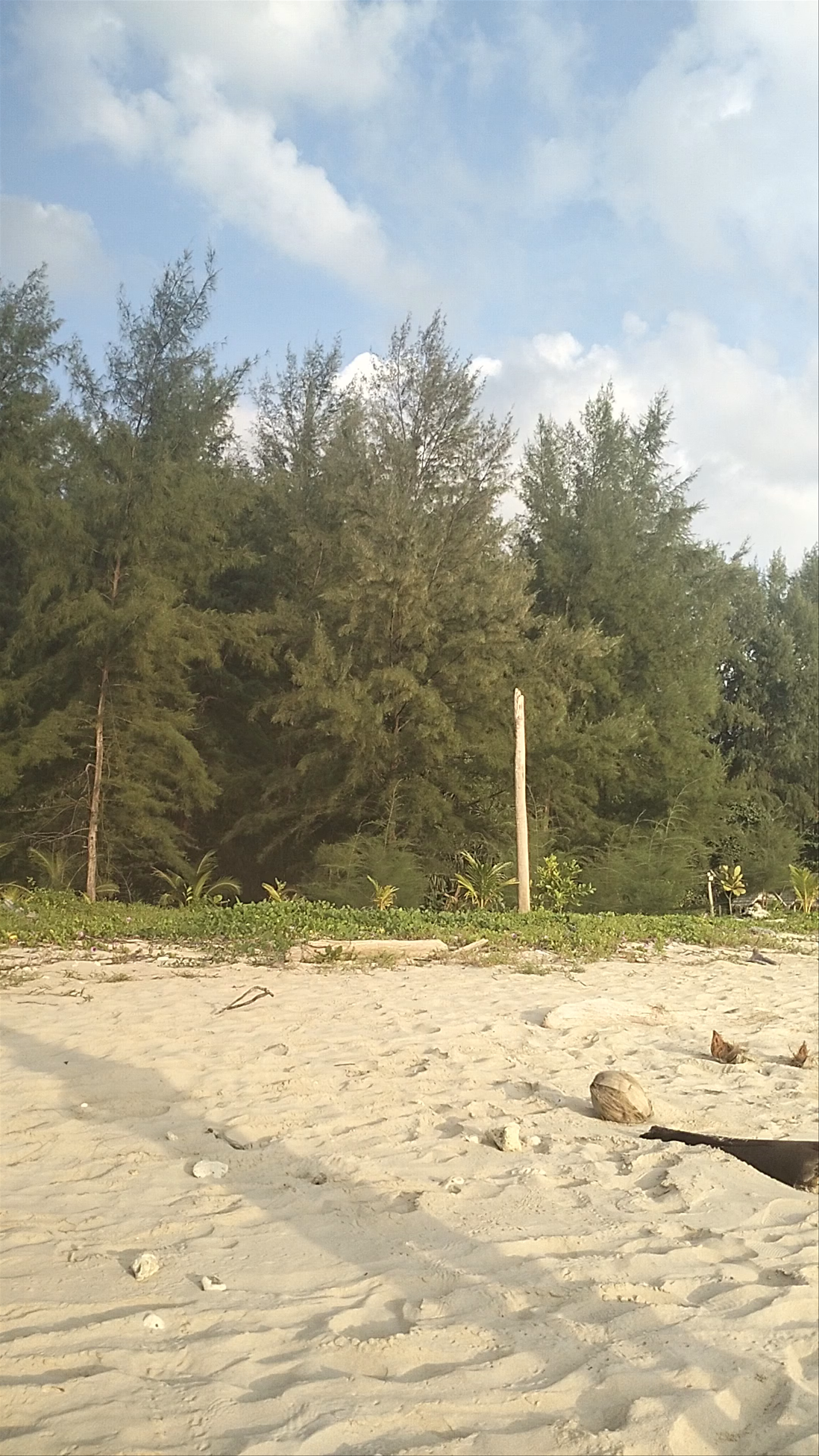 Sunlit Serenity at Pakarang Beach, Phang Nga