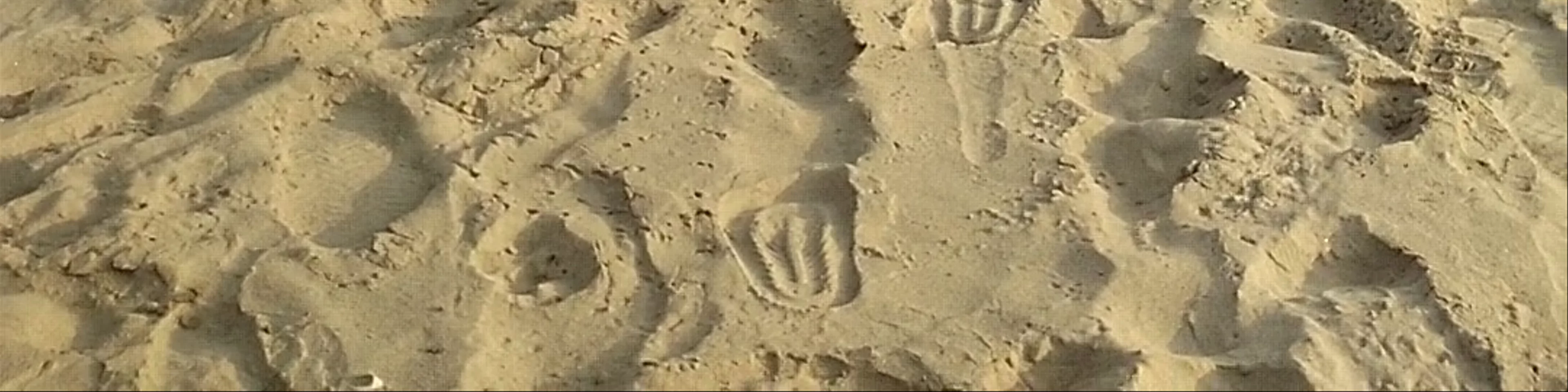 Pakarang Beach (Coral Beach)