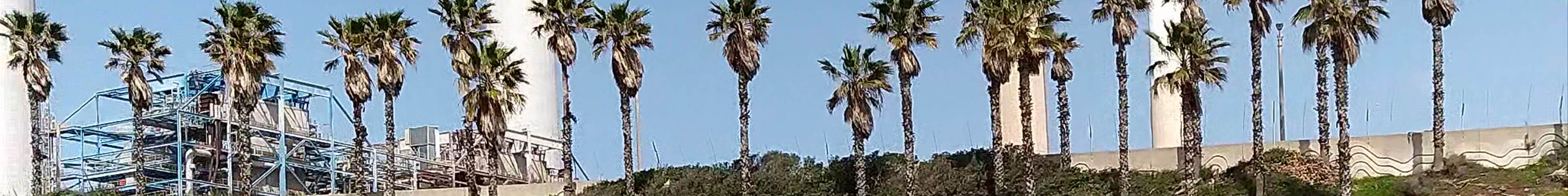 Tours & experiences in Hadera