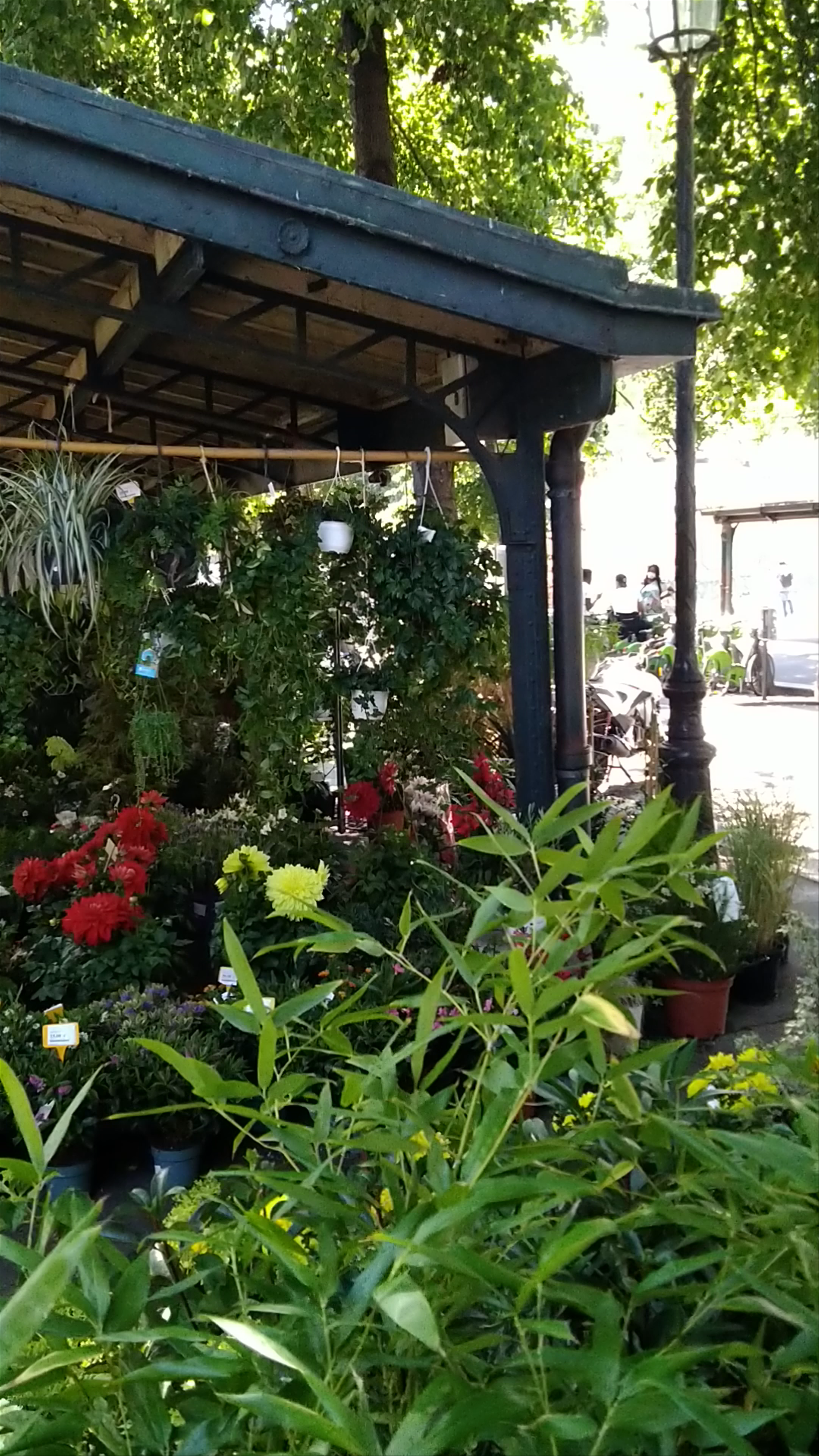 Marché aux Fleurs Market: A Blooming Parisian Oasis