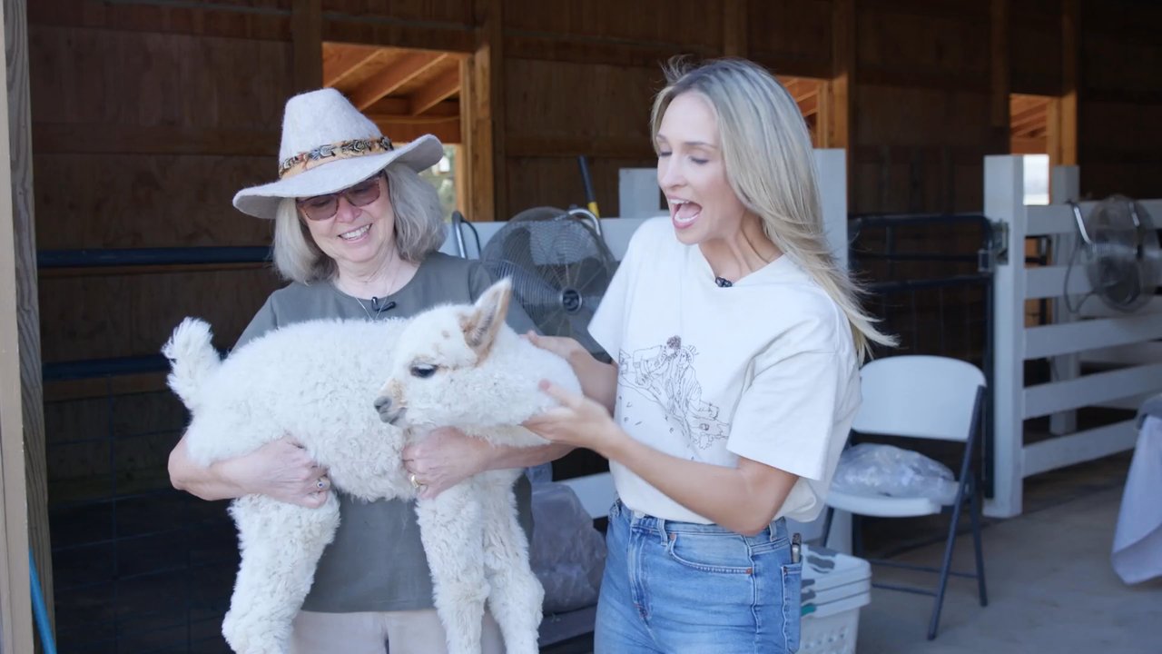 Blazing Star Ranch - A Visit to Blazing Star Ranch - Arts & Crafts Near Me - Englewood, Colorado