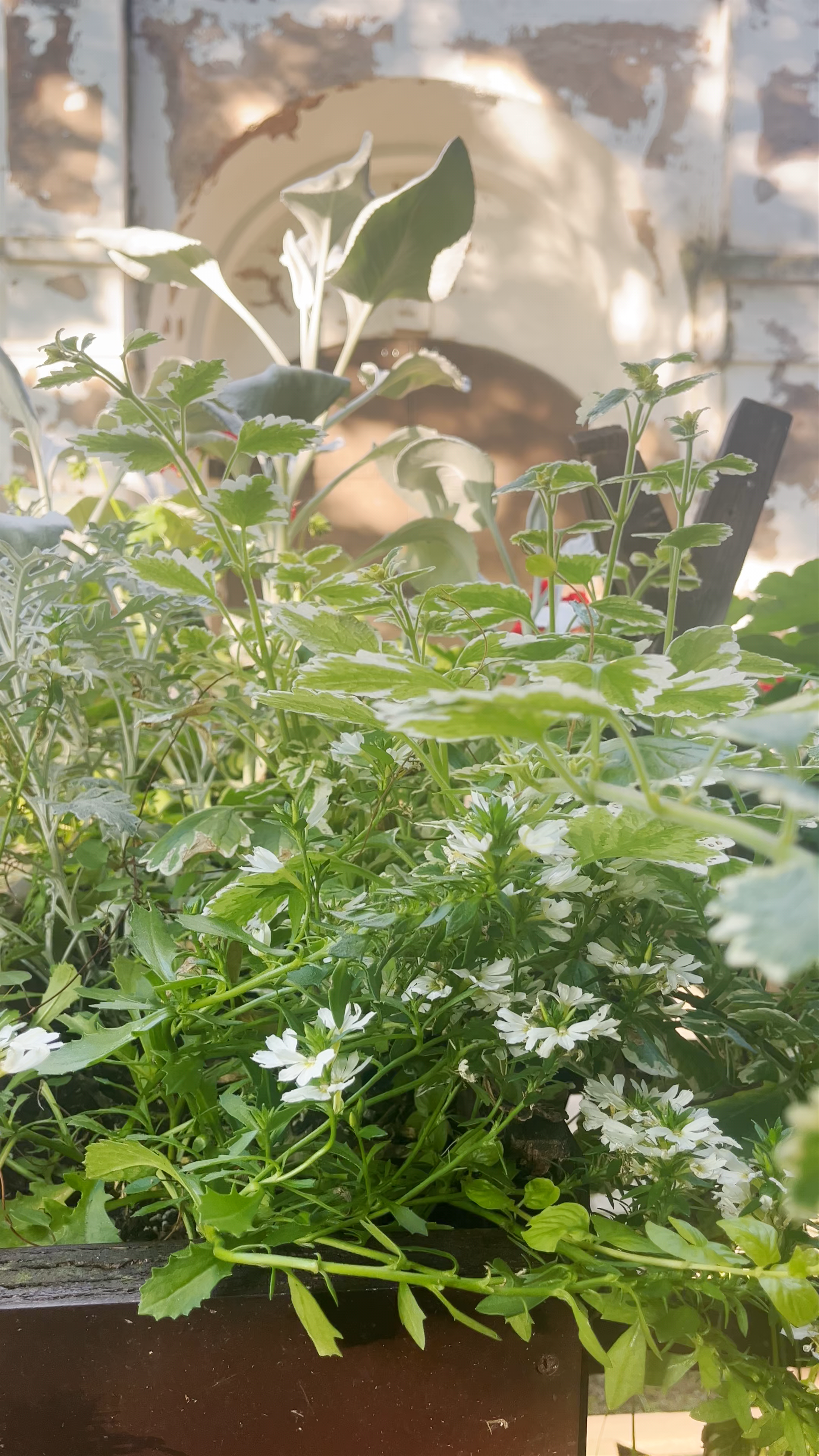 Iecavas Evaņģēliski luteriskā baznīca