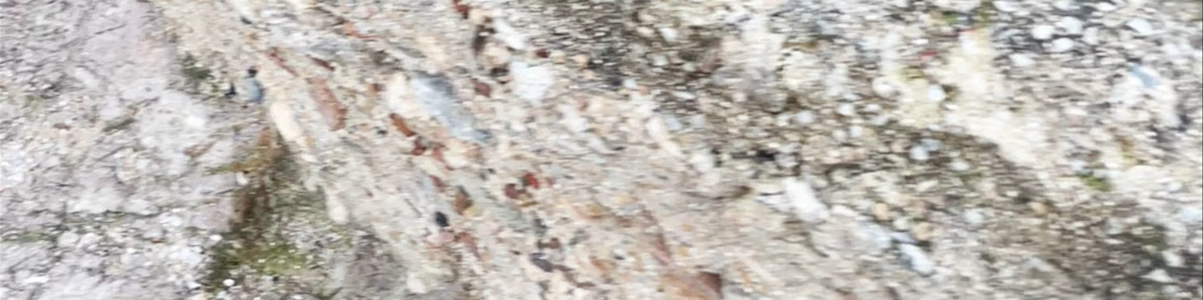 Cisterna Romana