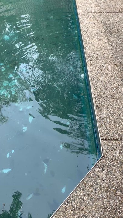 Hometown Pools - Before Hometown Pools.... - General Contractors Near Me - Parchment, Michigan