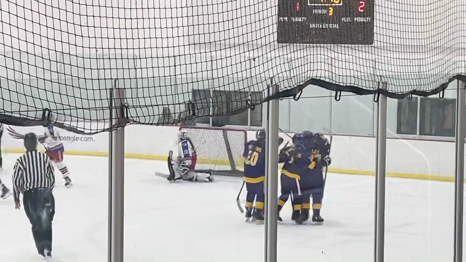Game winner | LA Lions 14AAA Windy City