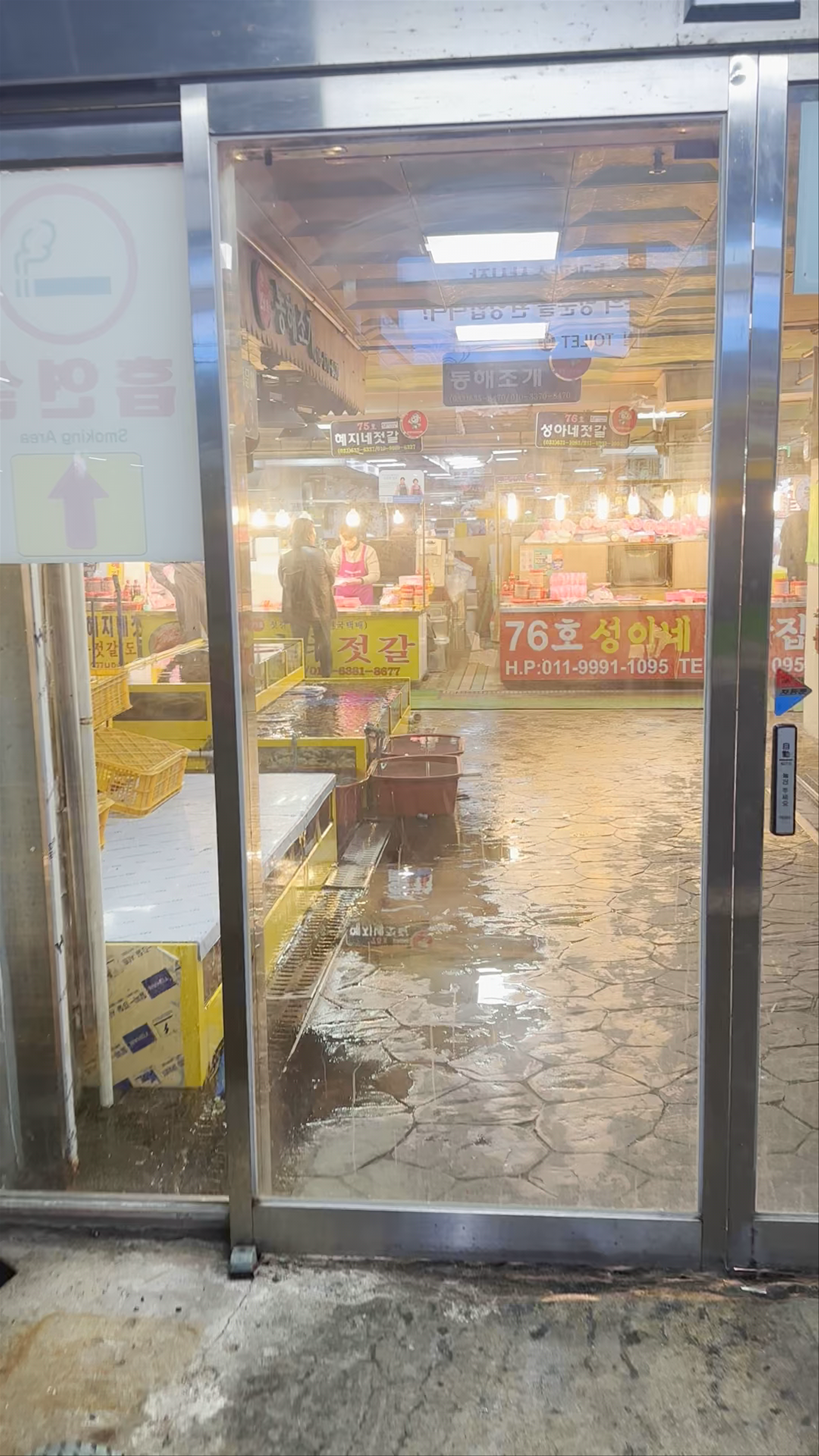 Daepohang Fish Market: Fresh Korean Seafood Hub in Sokcho