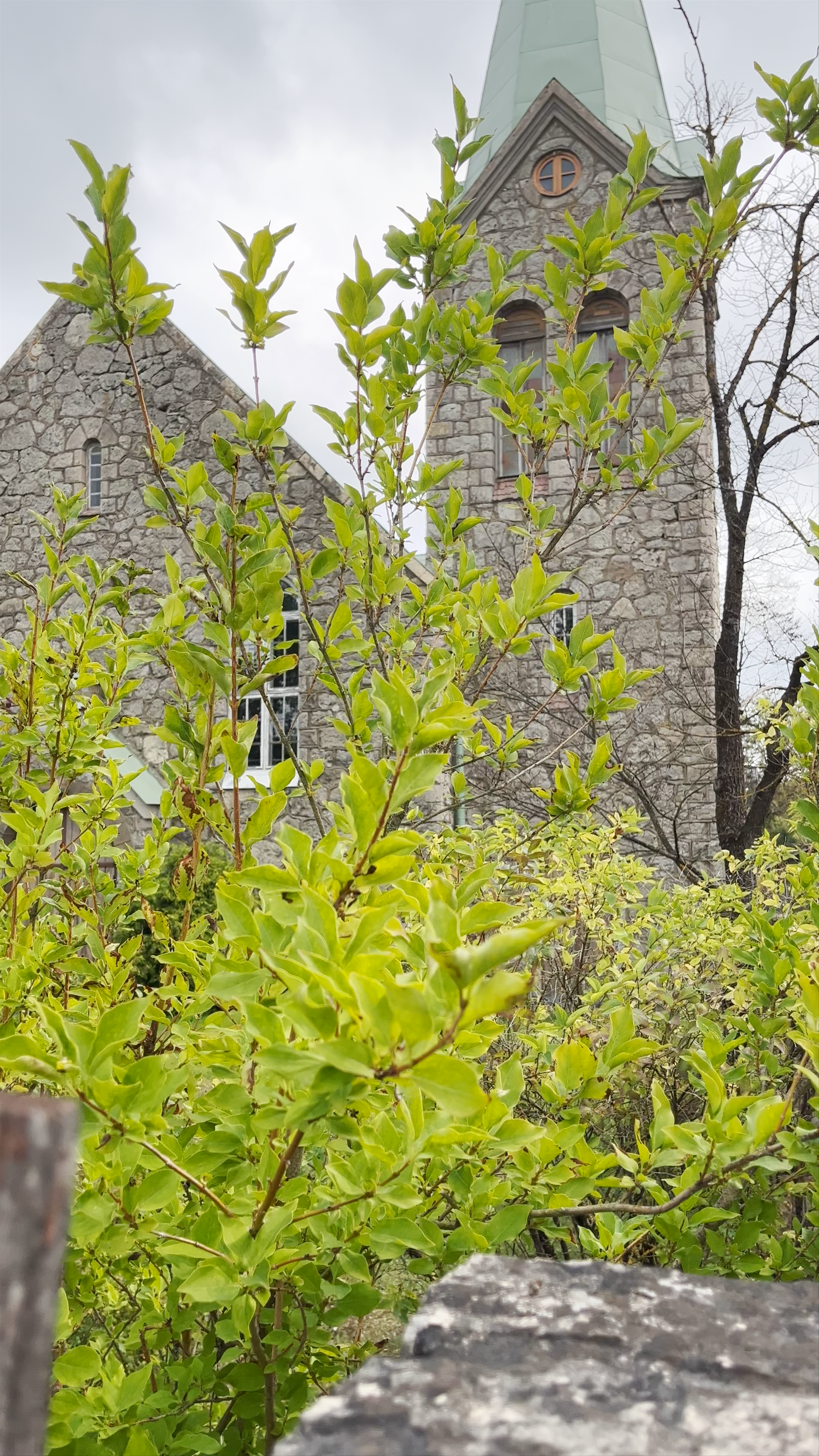 St. Peter's Lutheran Church