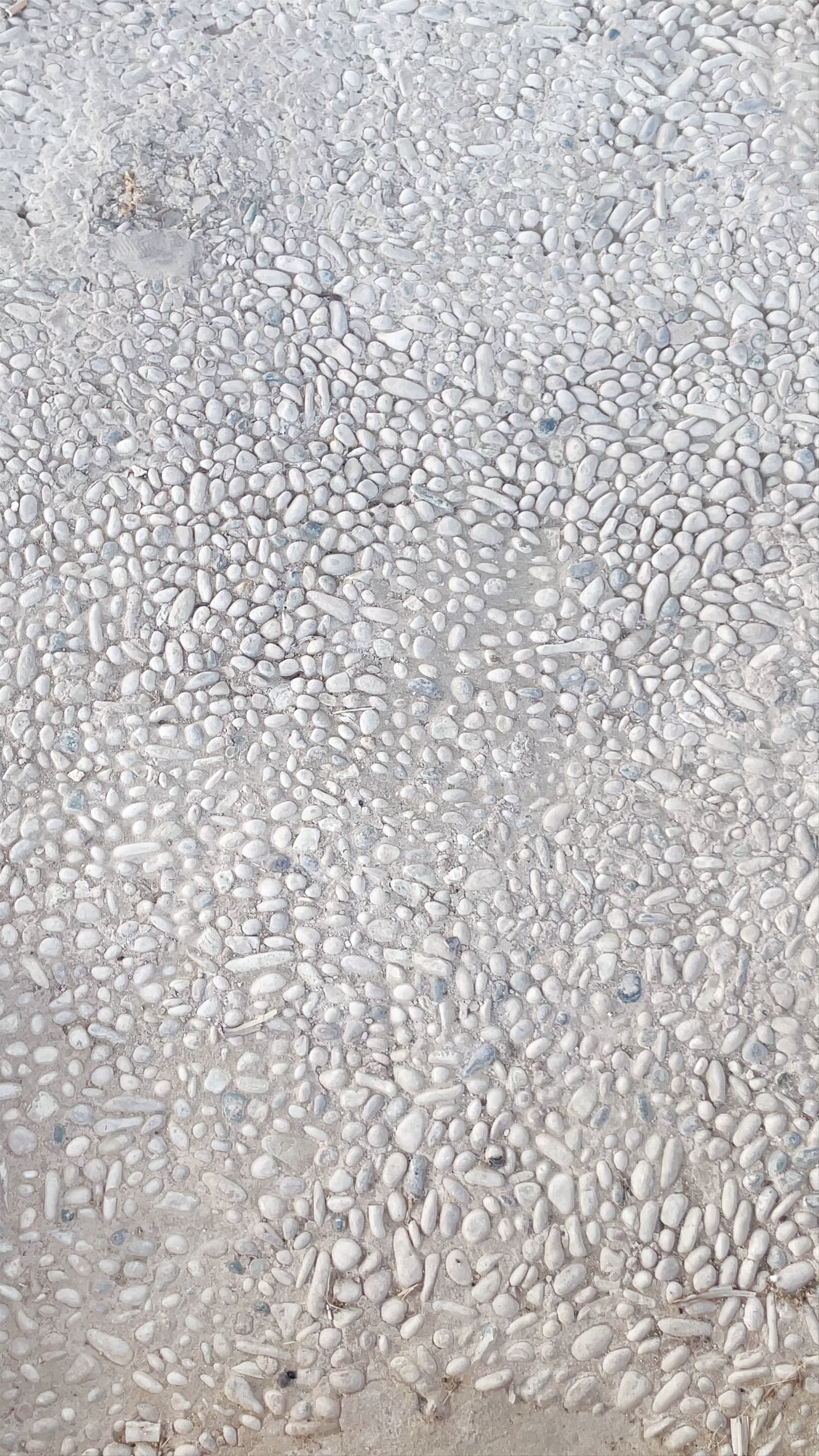 Early Hellenistic Pebble Mosaic Floor