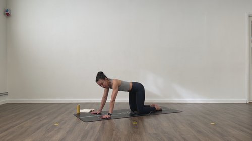 35-Min Full Body and Core/Yoga Class