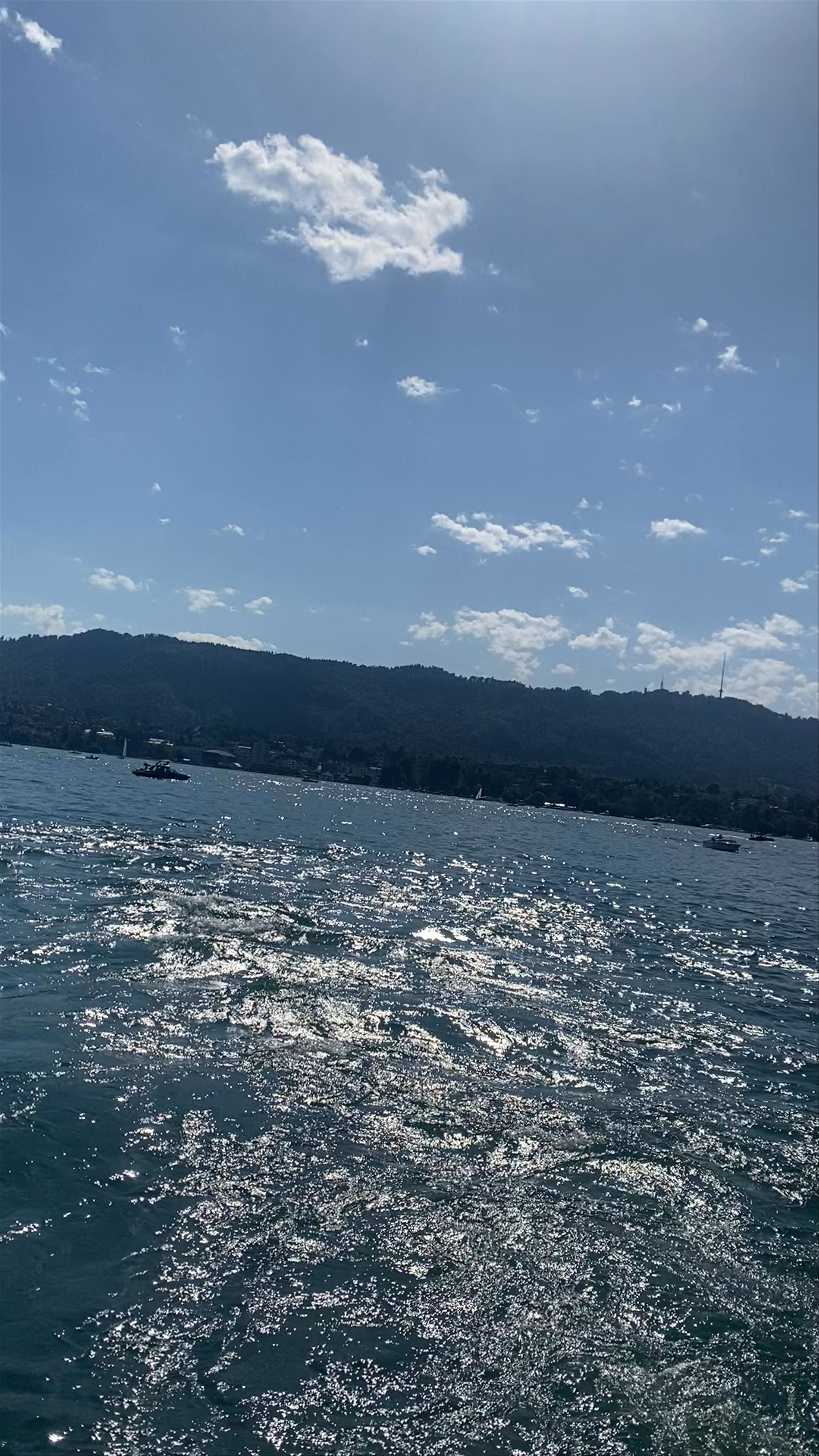 Sunlit Serenity on Lake Zurich: A Swiss Summer Escape