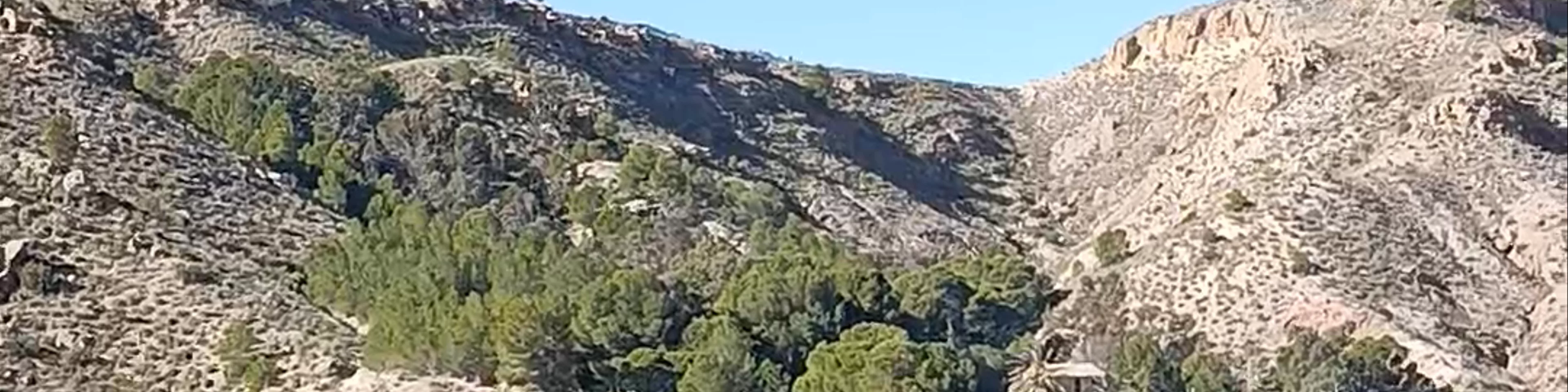 Las Coberteras