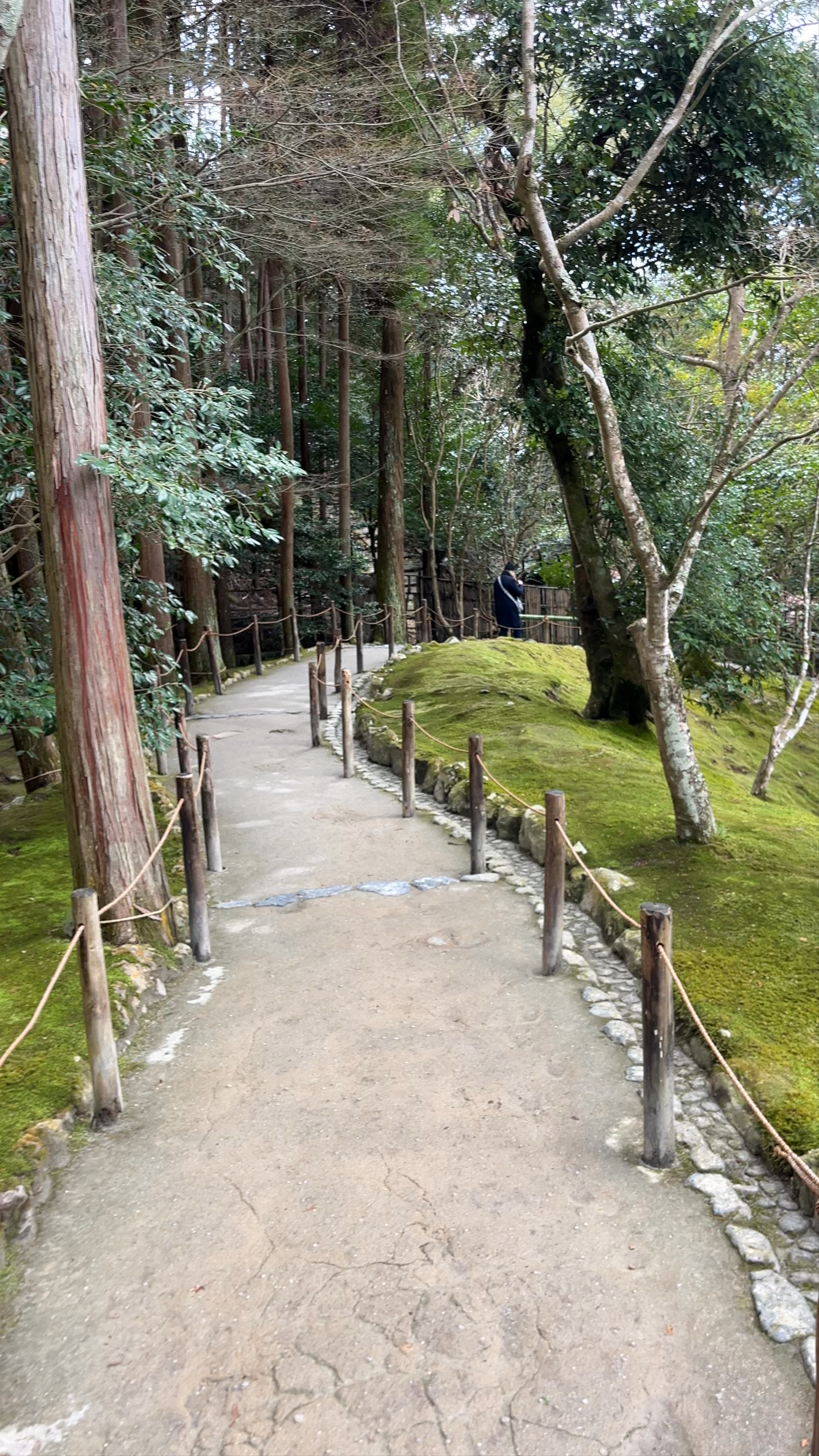 Serene Moss Garden Walk at Ginkakuji, Kyoto
