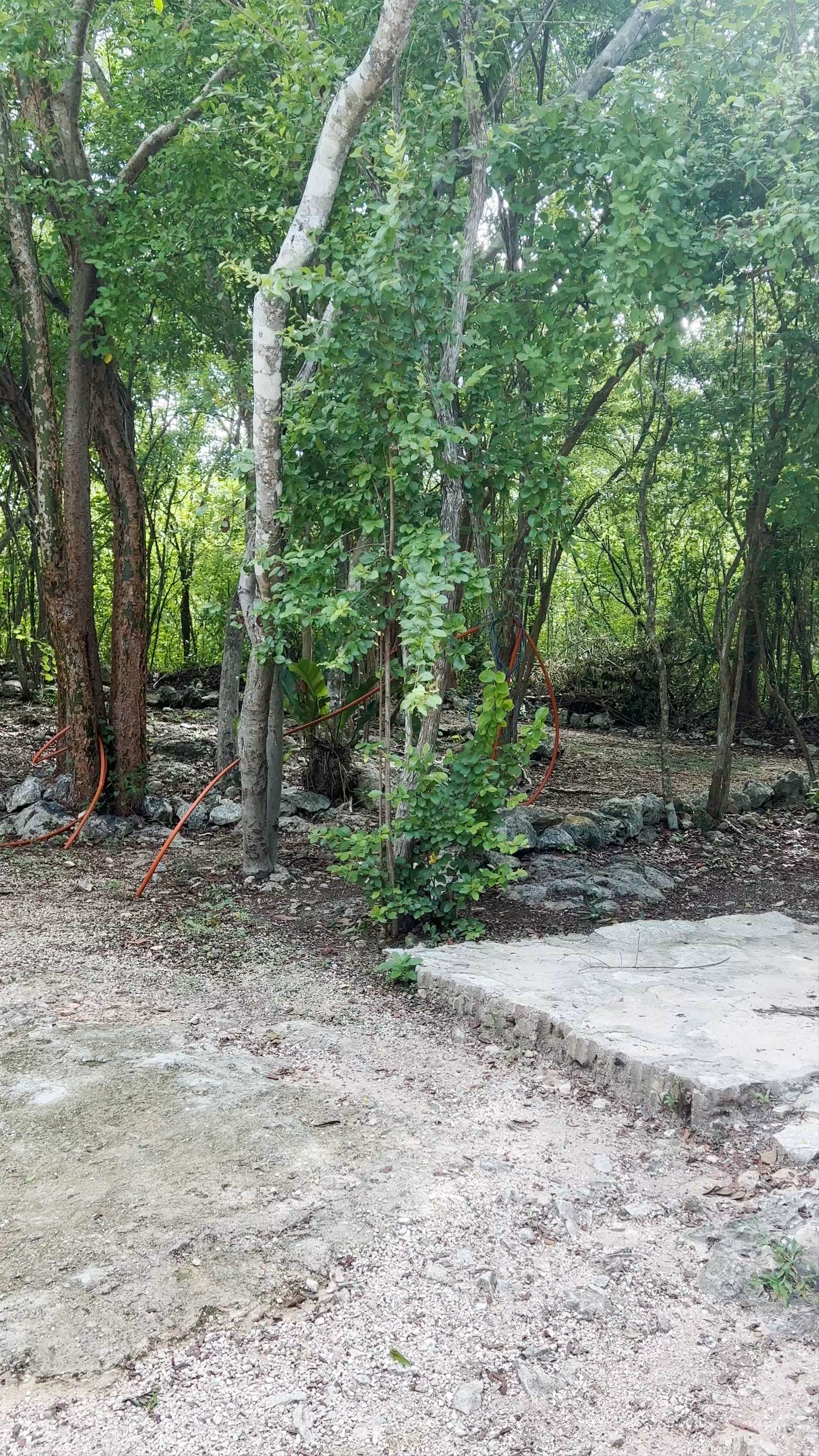 Cenote Suytun