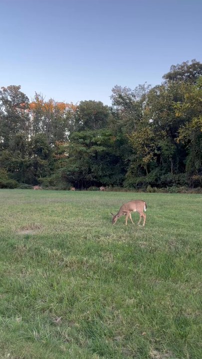Fort Totten Park - Parks Near Me - Washington, DC, District of Columbia