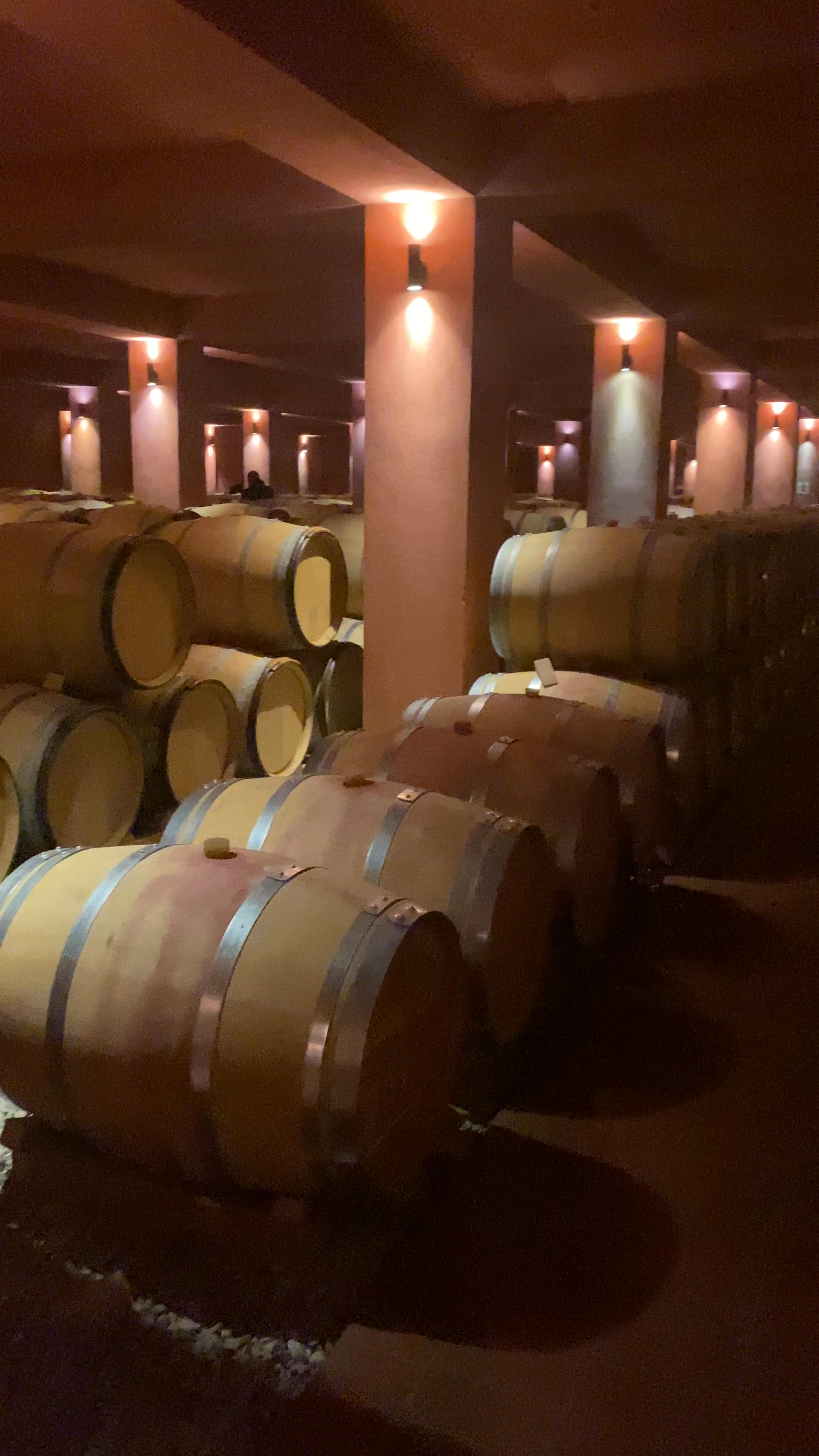 ΚΤΗΜΑ ΑΛΦΑ-ALPHA ESTATE