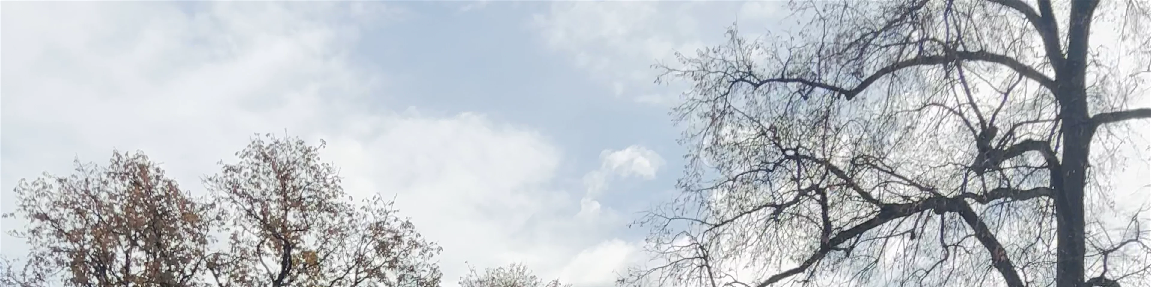 Kadrioru park