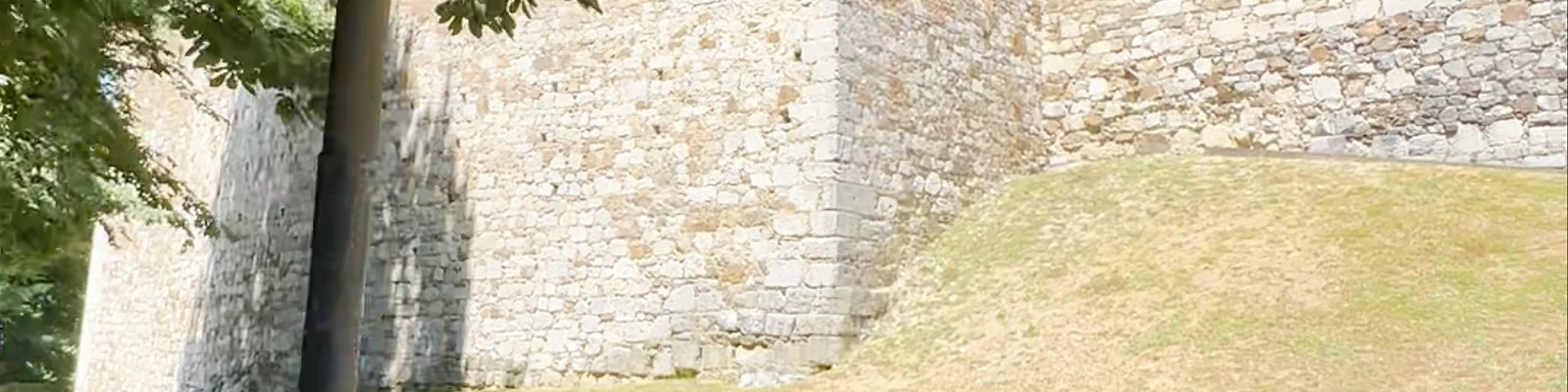 Virtual castle