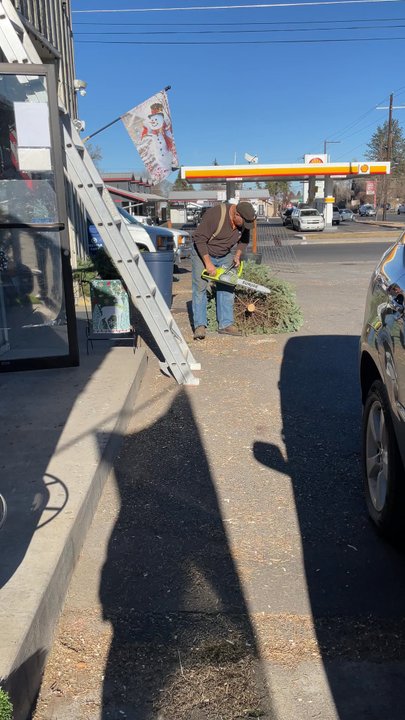 Central Oregon Lawn Center - Getting a fresh cut on our Christmas tree - Irrigation Near Me - Bend, Oregon