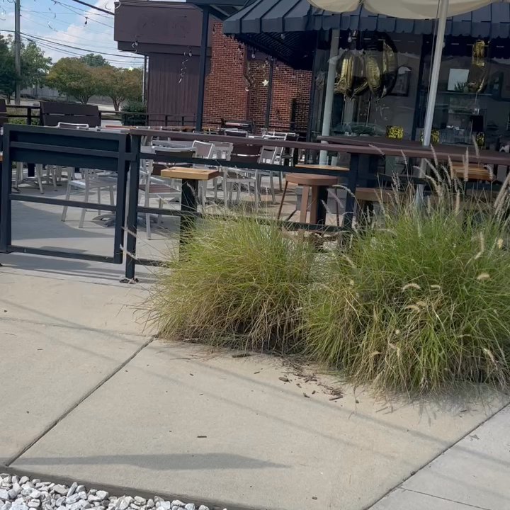 Video thumbnail 6 more videos