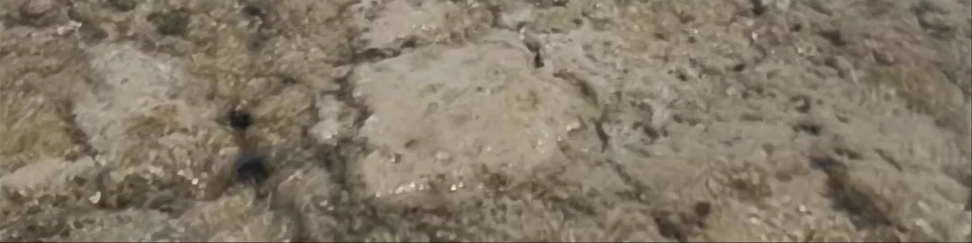 Playa de El Mojón