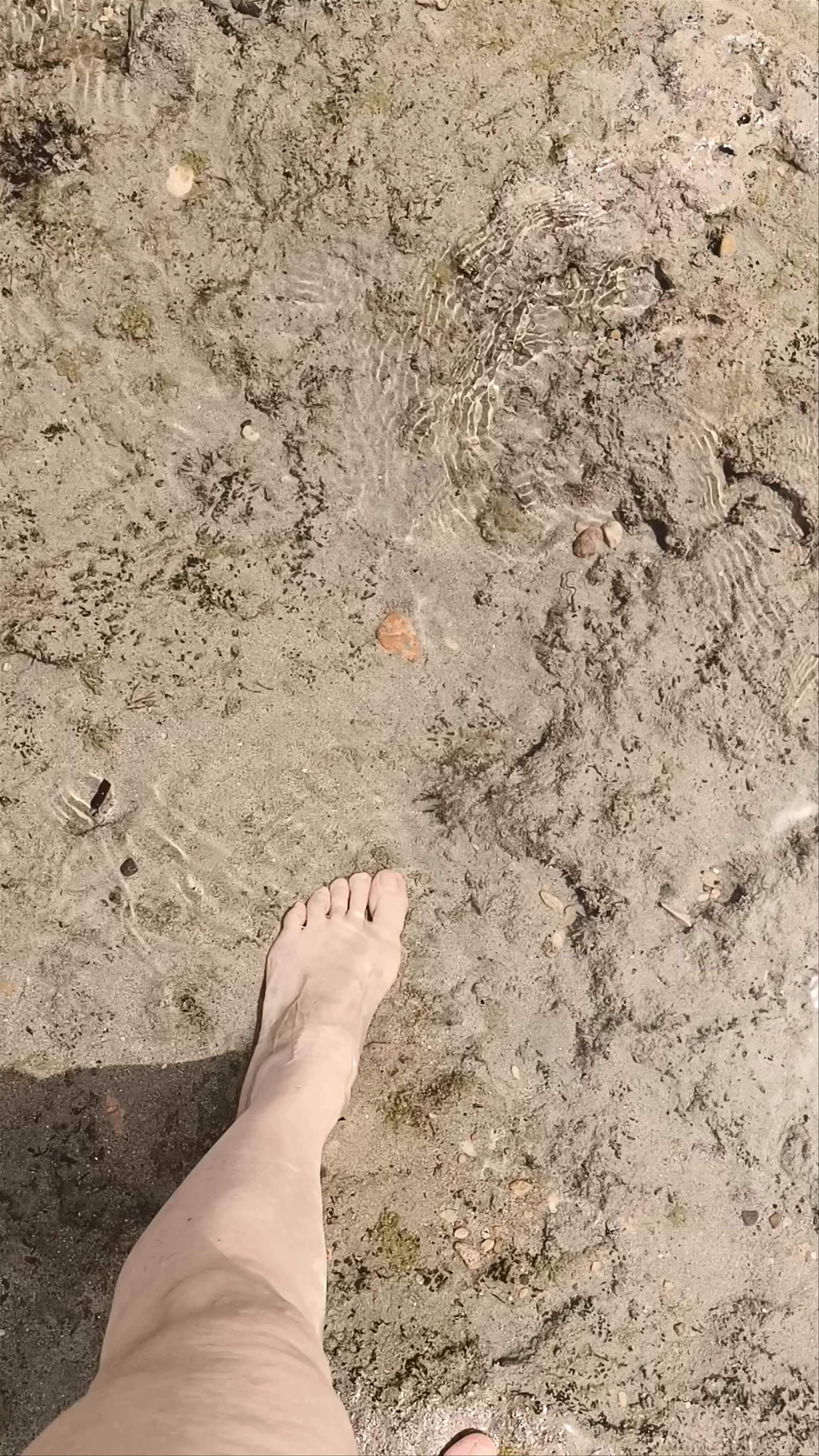 Playa de El Mojón