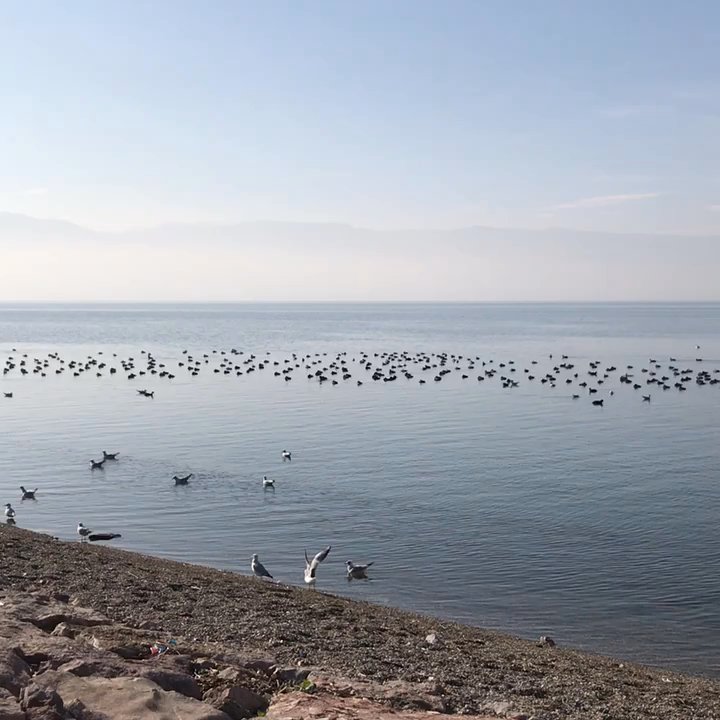 Seka Park - Parks Near Me - İzmit, 41