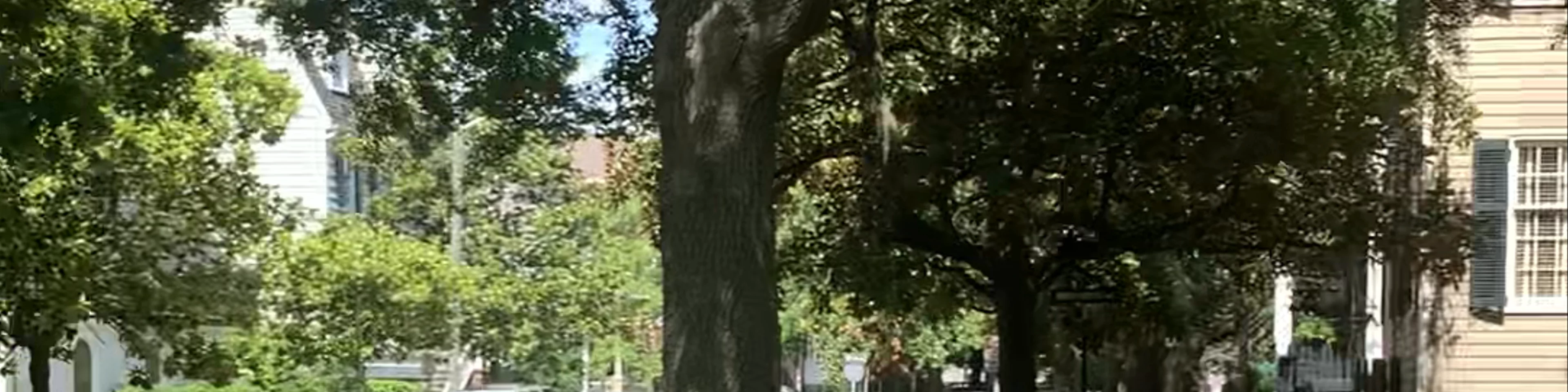 Washington Square 