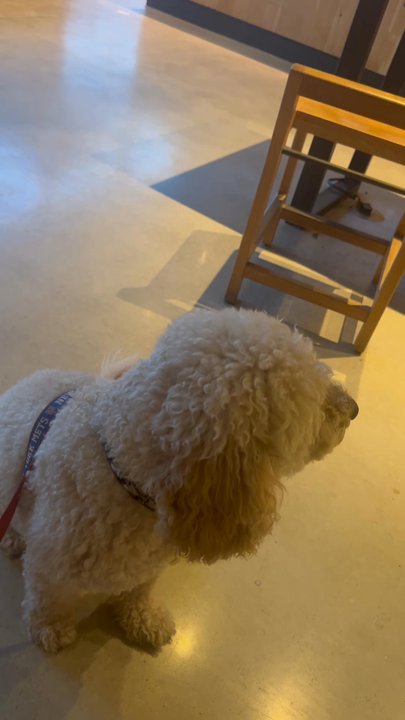 Starbucks - Inside Starbucks Video - Coffee & Tea Near Me - Palm Beach Gardens, Florida