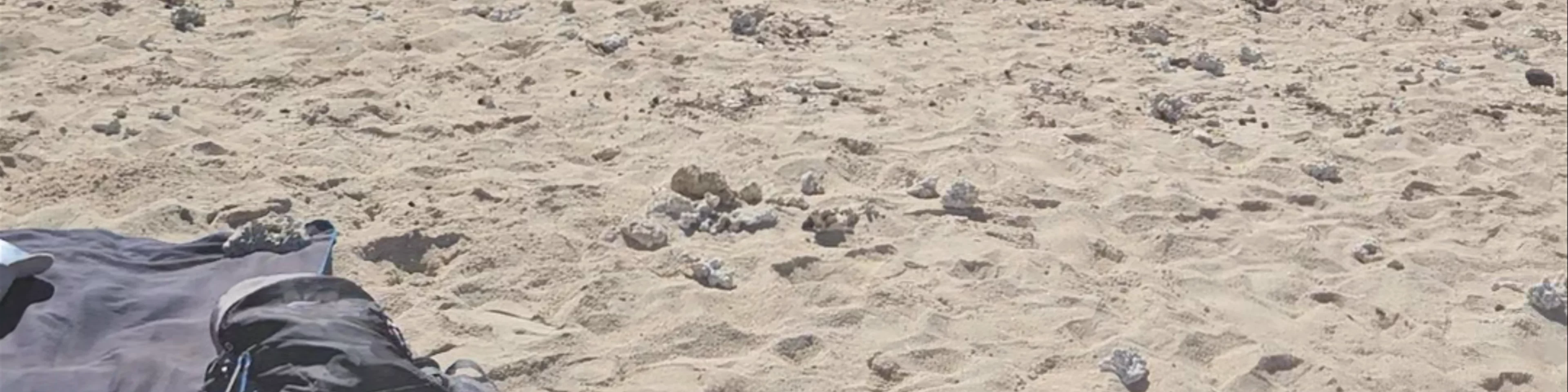 Plage de la Saline