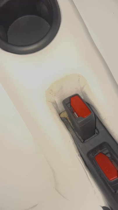 Tesla - Leftover throw up/ spillage and mold - Car Dealers Near Me - Upland, California