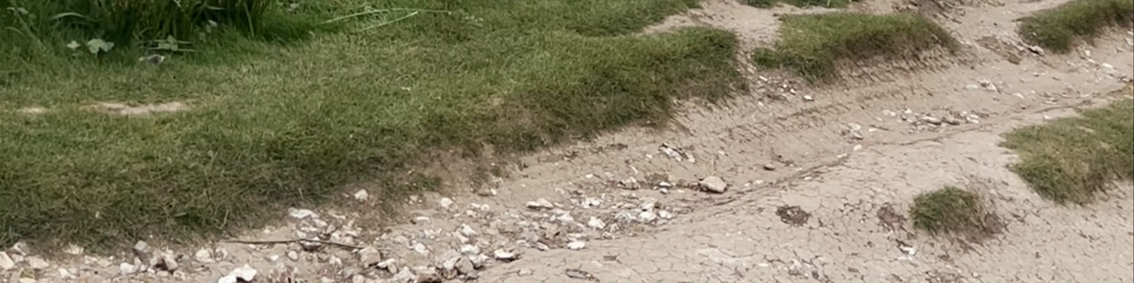 National Trust - Birling Gap and the Seven Sisters