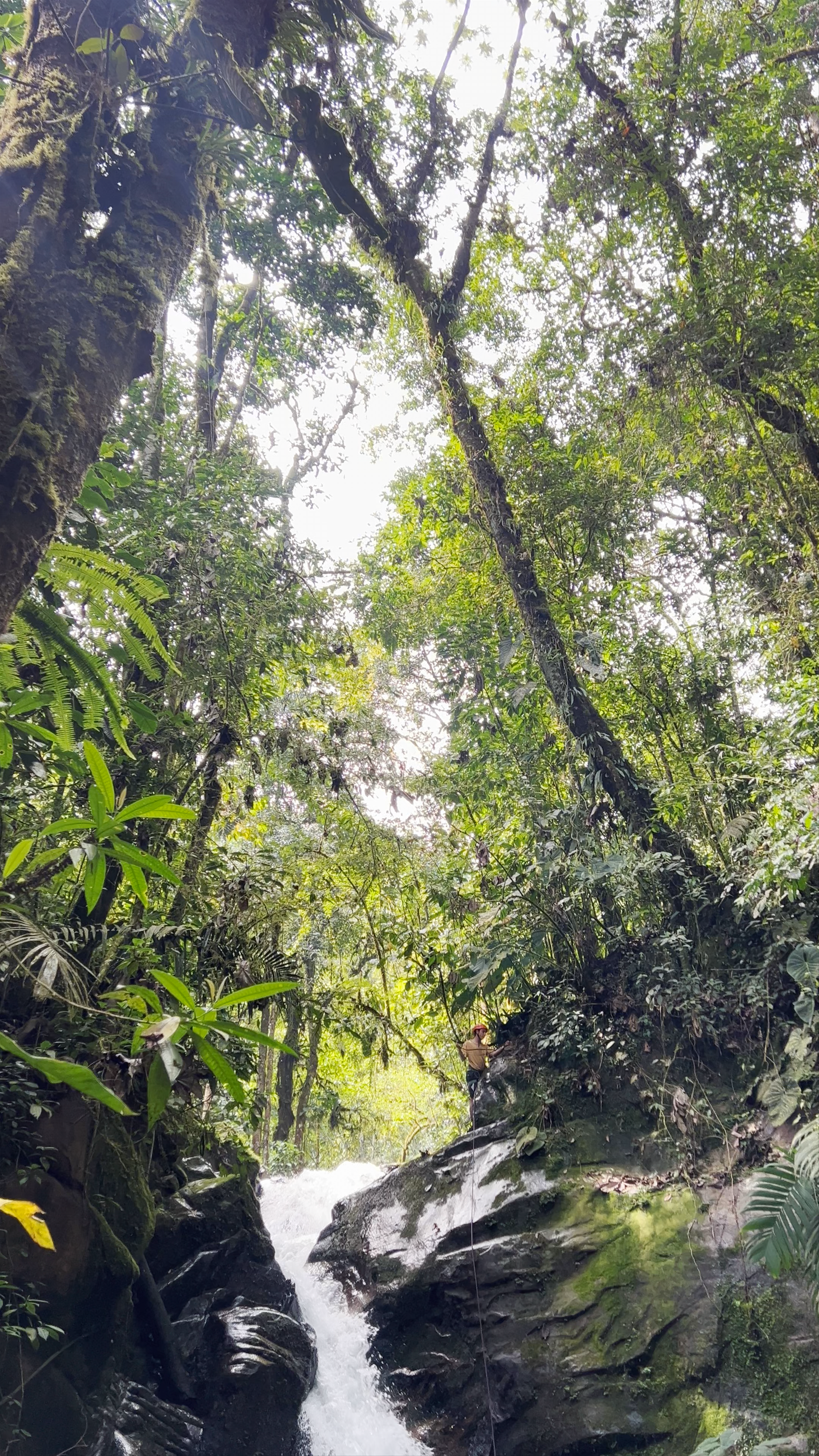 Santa Rita la cascada