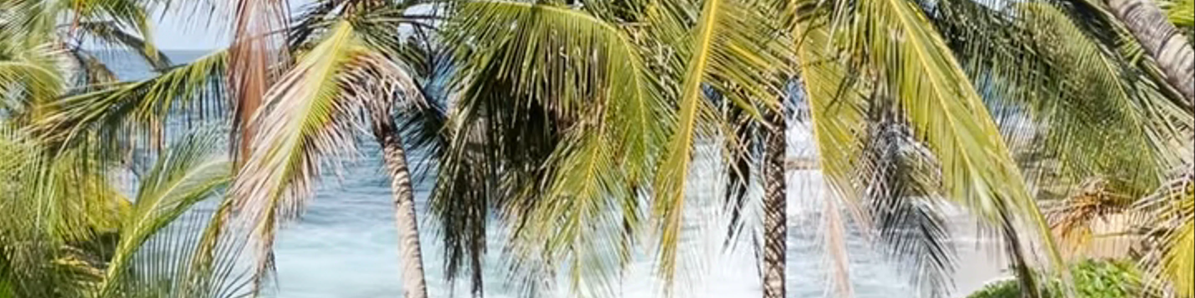 Mirador Manzanillo