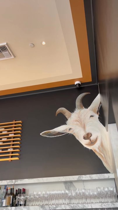 Goat Tree - Cafes Near Me - Santa Barbara, California