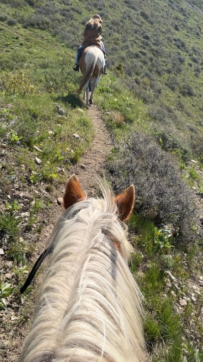 Mill Iron Ranch - Wildlife Hunting Ranges Near Me - Jackson, Wyoming