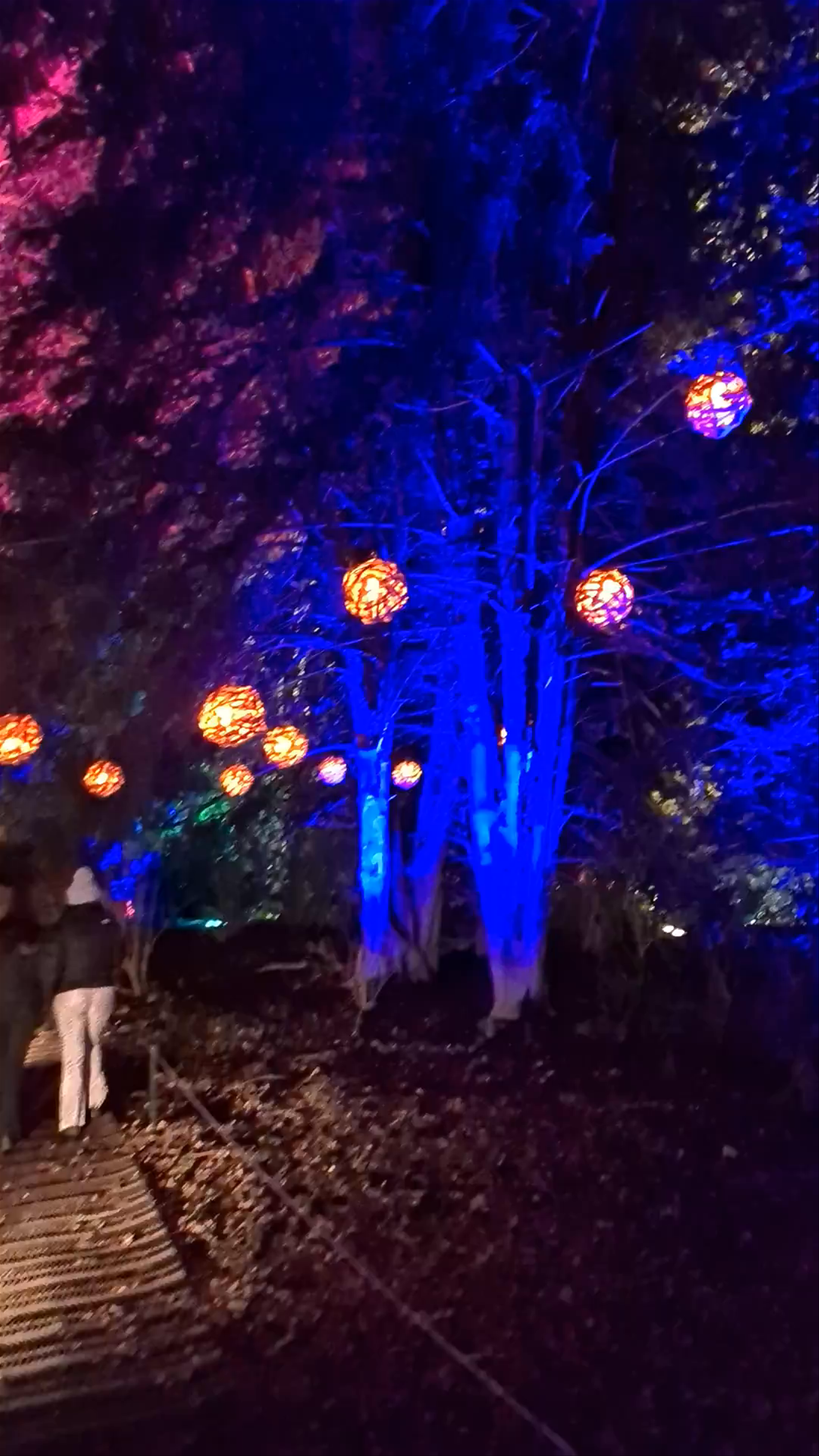 Compton Verney Art Gallery and Park