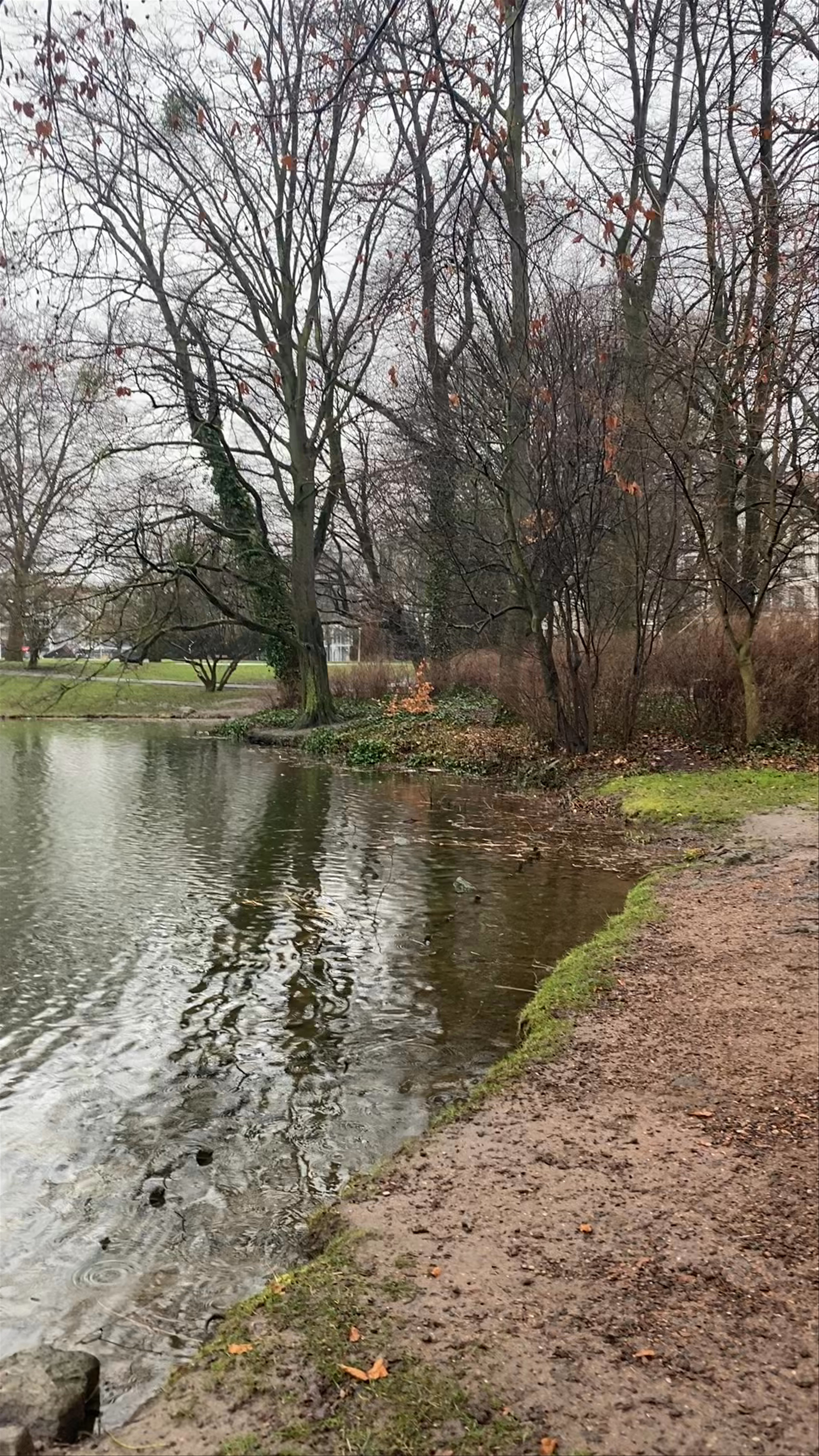 Maschpark