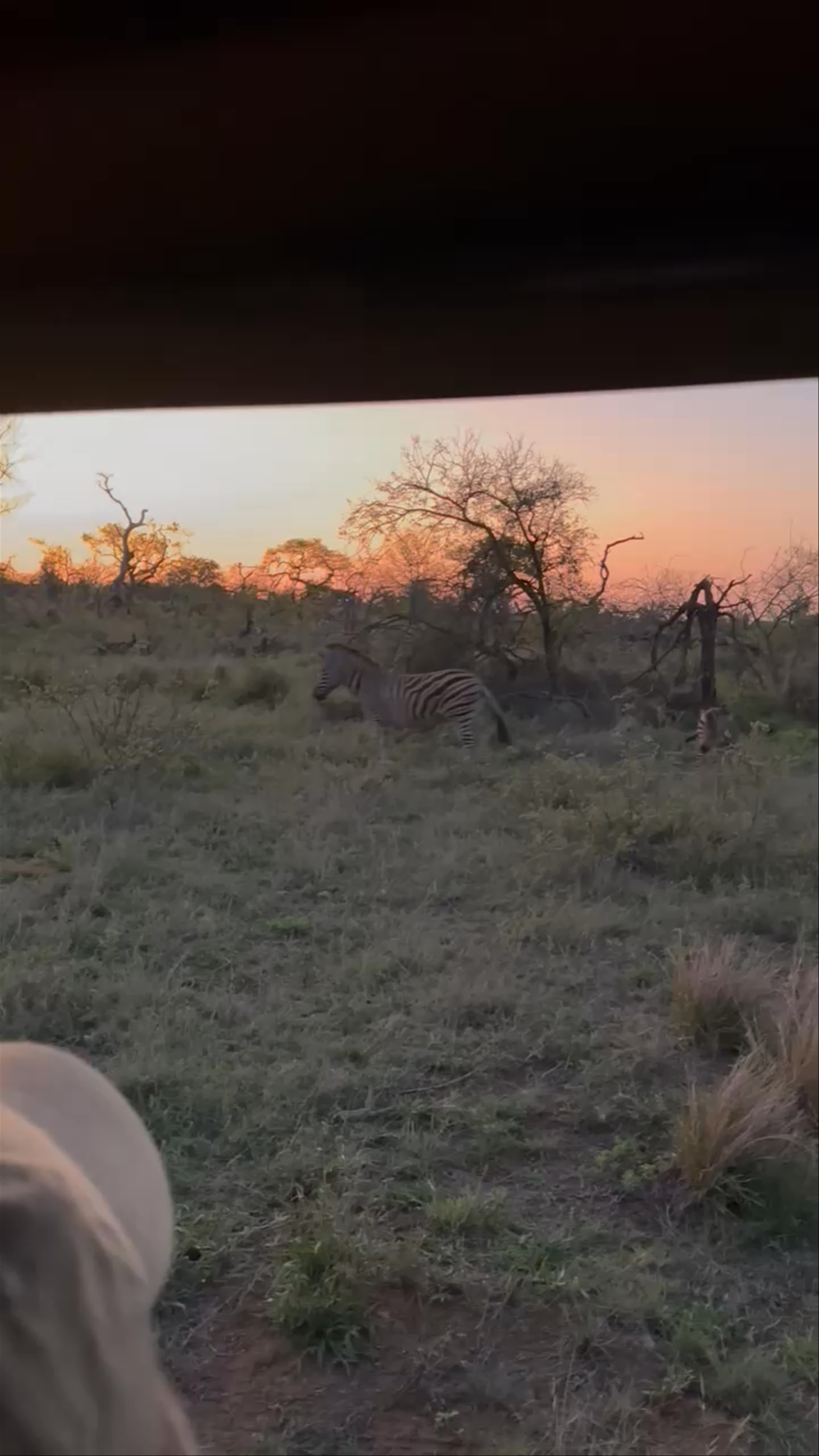 Kruger National Park