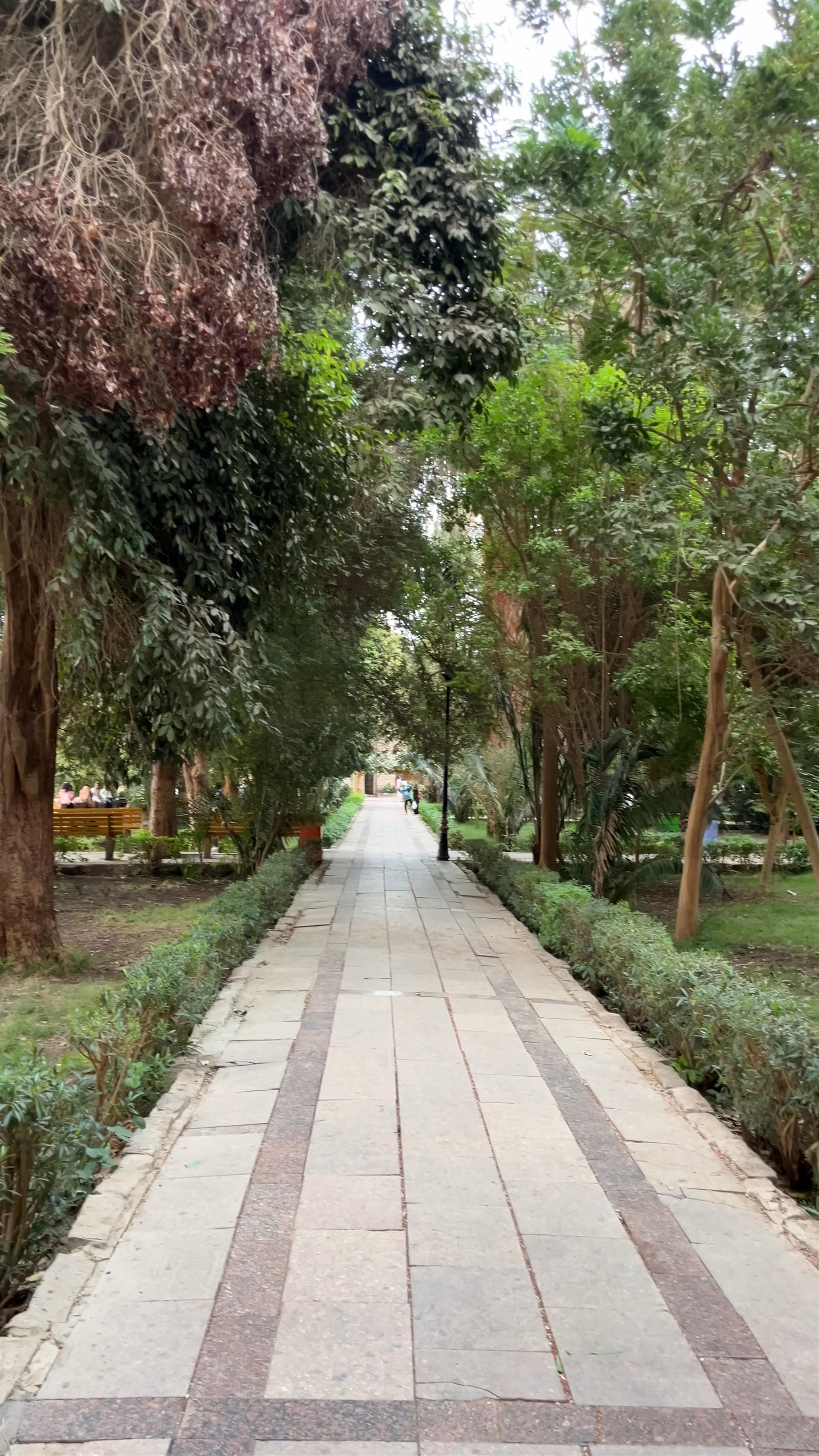 Aswan Botanical Garden