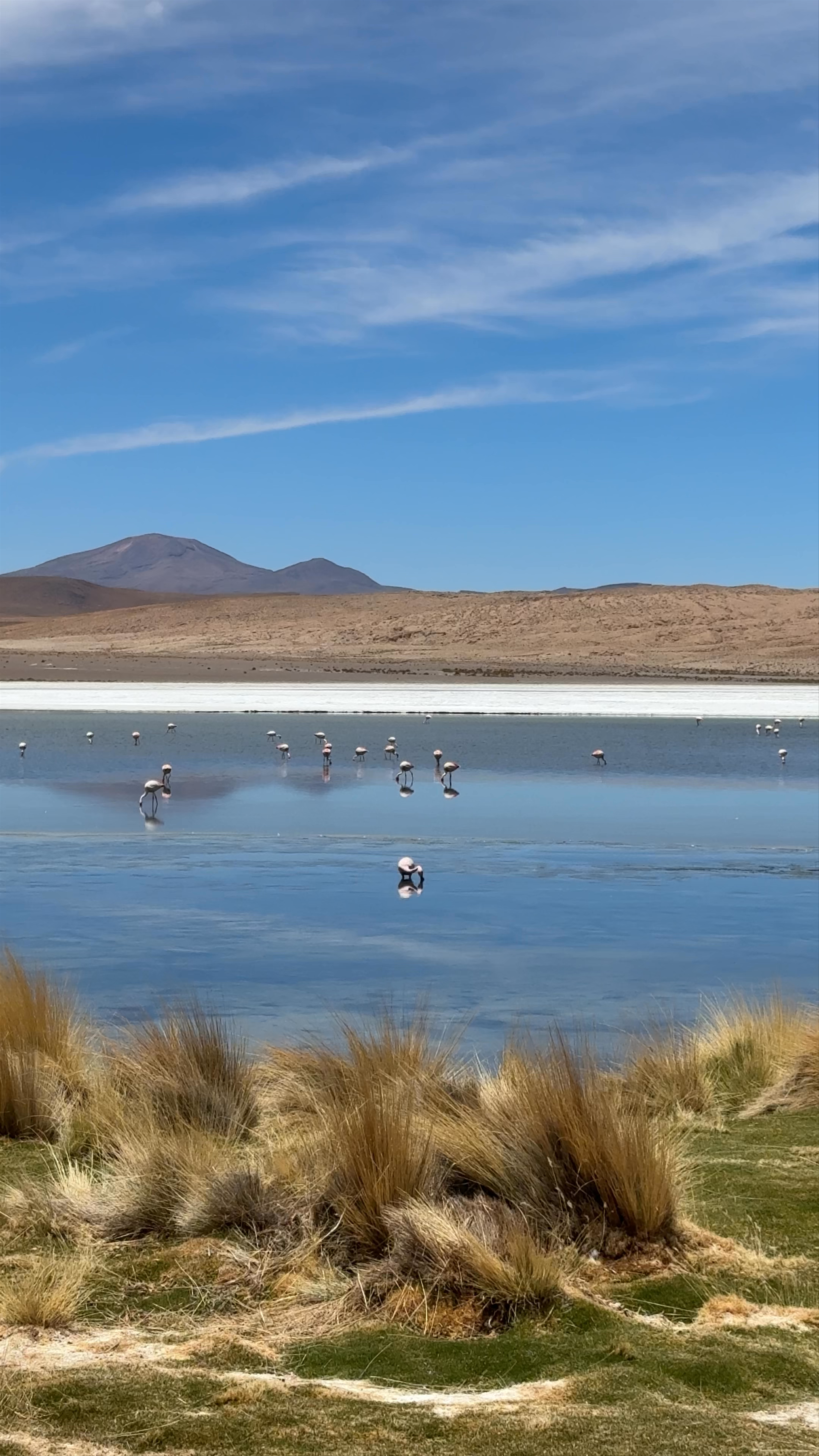 Laguna Cañapa
