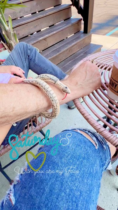 Hopscotch Kids - Wooden snake glides smoothly so realistic once you master it - Toy Stores Near Me - Tecumseh, Michigan