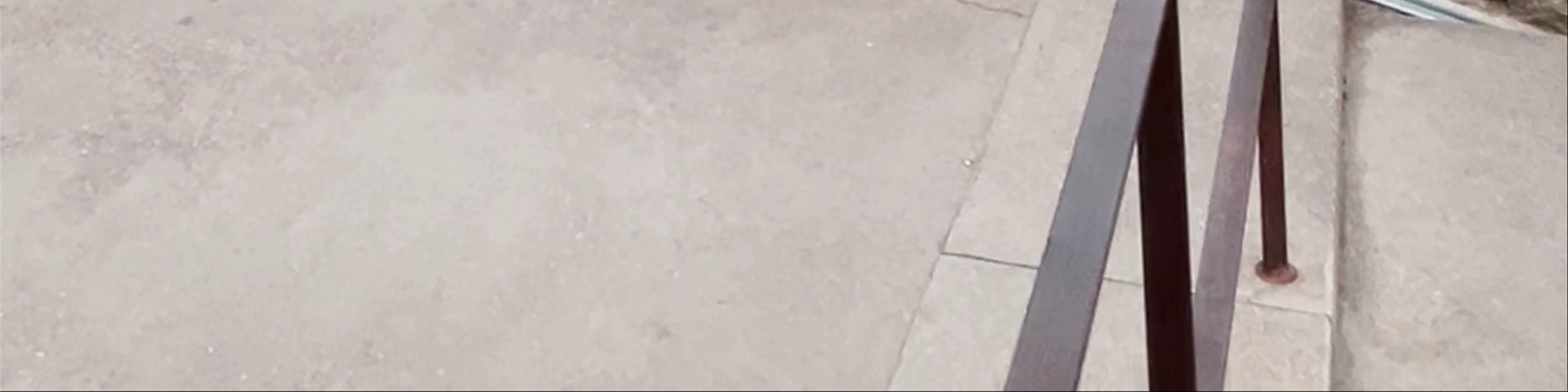 Sinagoga y baños judíos de Besalú