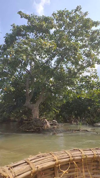 Photo of Coracle Ride at Hamp