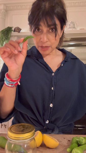 20 Second Guide to Chilies