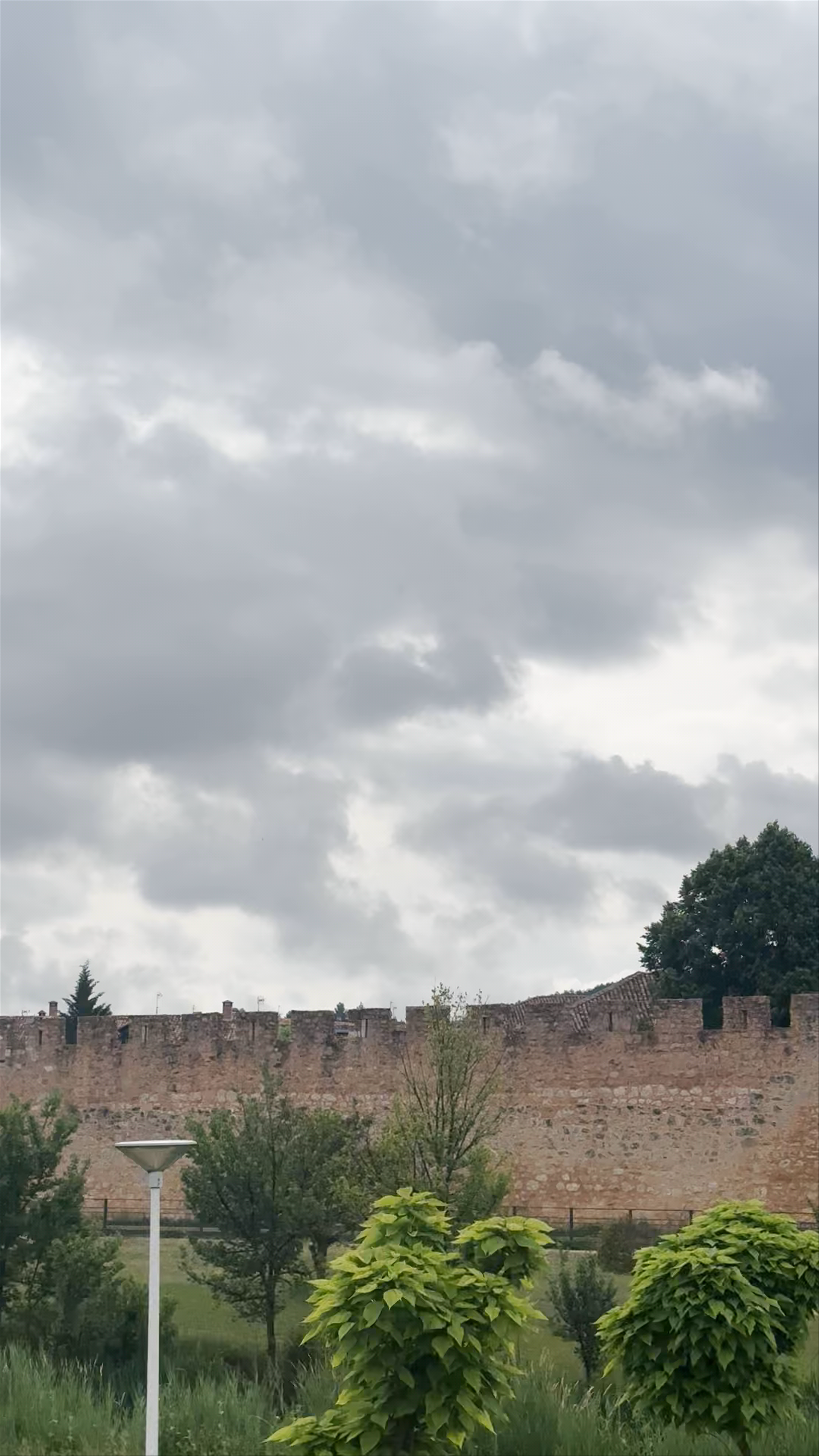 Burgo de Osma Cathedral