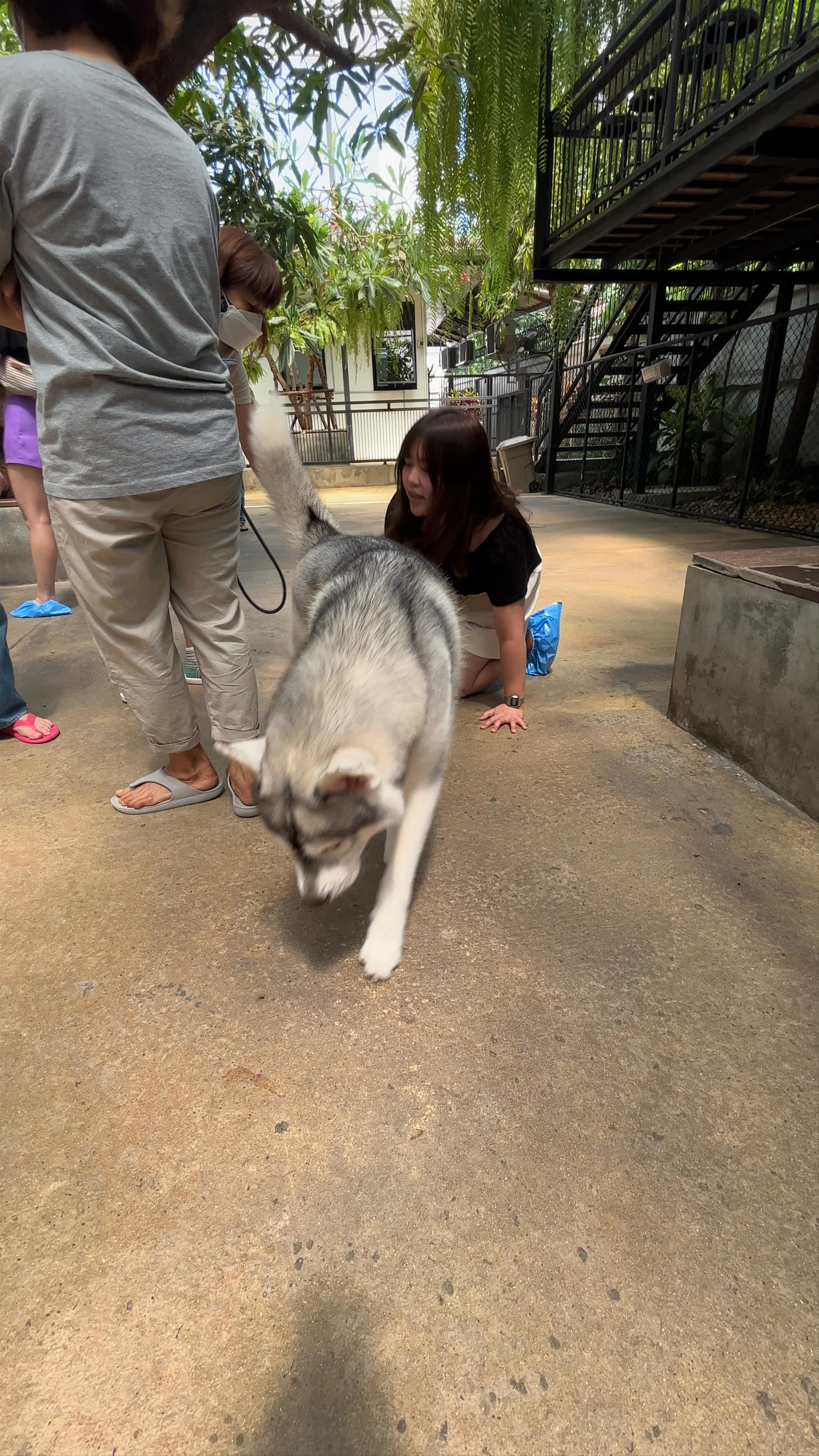 TrueLove @ Neverland (Husky Cafe)