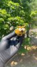 Small image 6