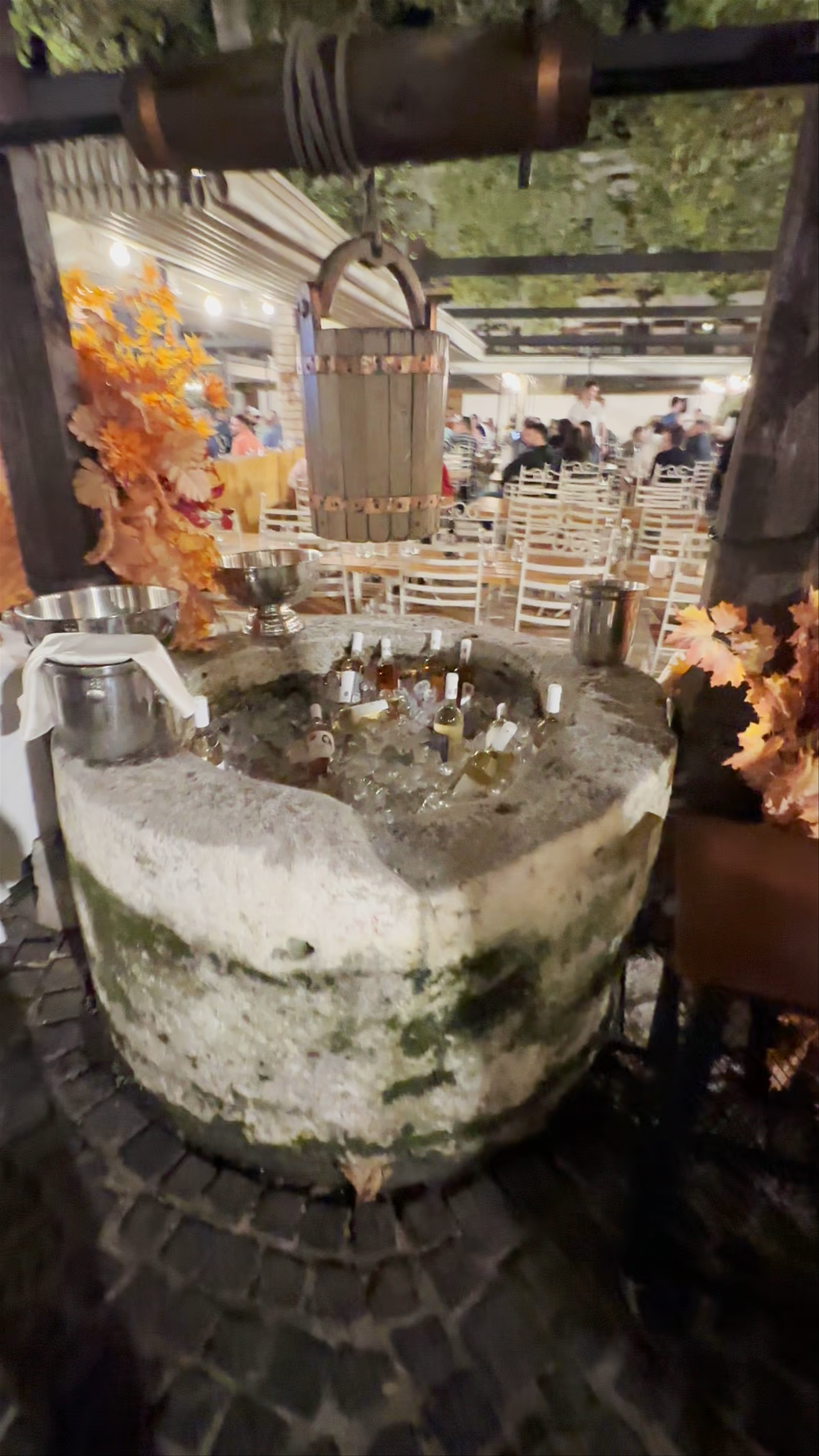 Restaurant Hanu' lui Manuc