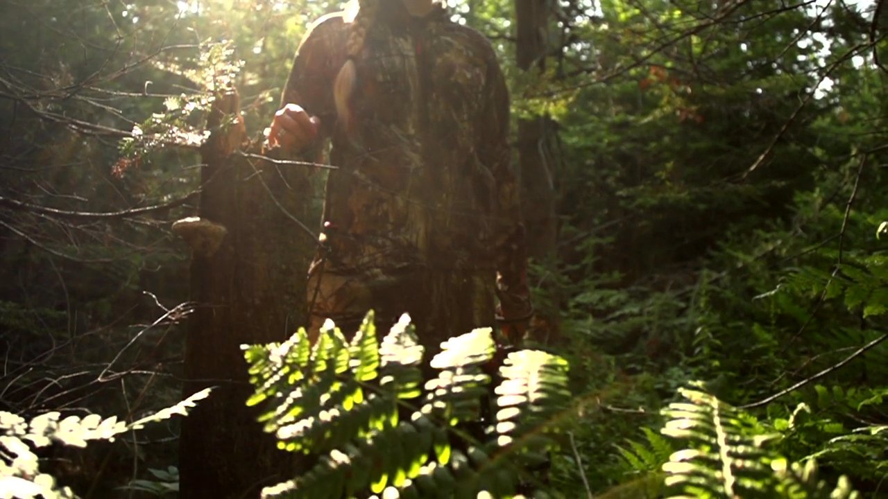 Portfolio clip by James T., Seattle videographer