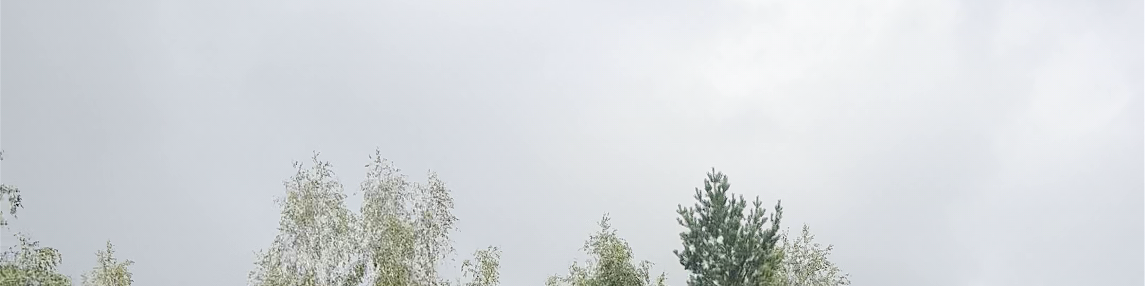 Krāslava